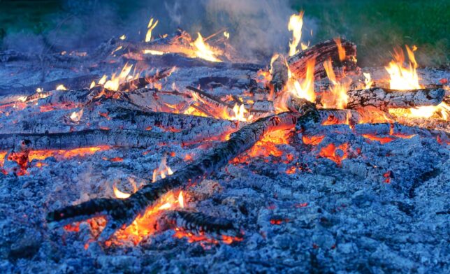 I love the way a big fire looks and smells when it goes to coals, especially in the evening when the coals glow deep orange and the ashes catch the blue of the last light in the sky.