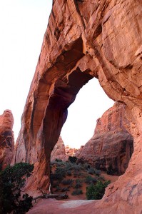 Pine Tree Arch.