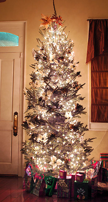 Nicole's Christmas tree fills her living room with light and holiday cheer on Christmas Eve 2006.