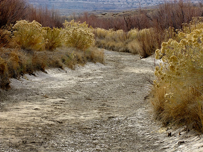 Chaco Wash in 2003 this was a wet crossing. Our Adventures