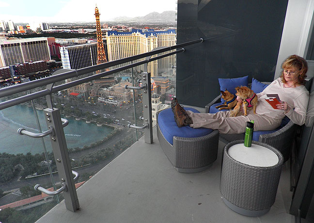 Abby reads the room service menu on our balcony as she and the dogs settle in to our 48th floor accommodations.