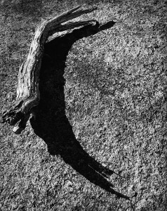 Deadwood and granite slickrock, 1998.