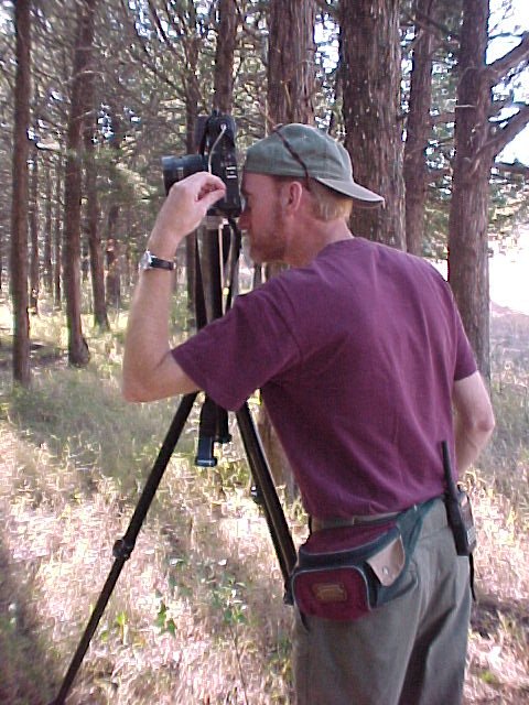 The author photographs the Parallel Forest, 1999.