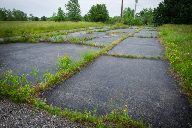 A parking lot, I guess maybe for an athletic complex, is shown completely overgrown.